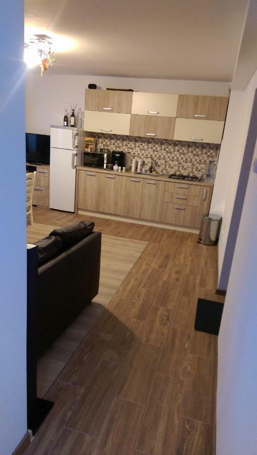 Aterman Apartment'S Sinca Veche Extérieur photo
